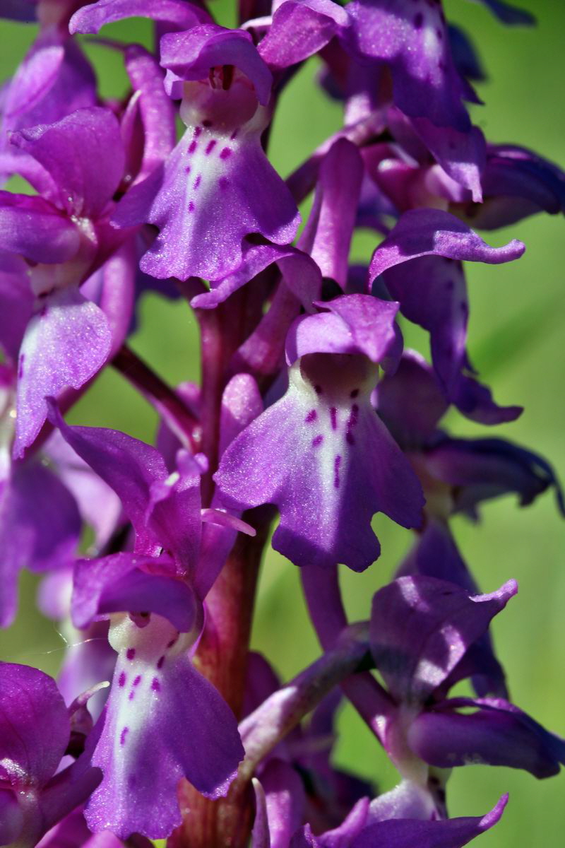 2013_05_15_00014814_Bildgr��e �ndern