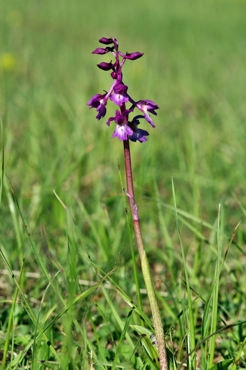 2013_05_15_00014818_Bildgr��e �ndern