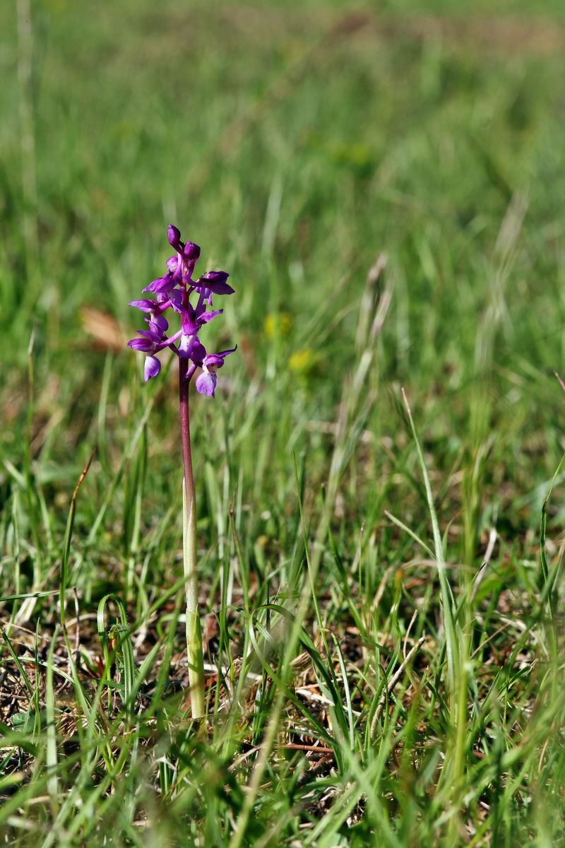 2013_05_15_00014823_Bildgr��e �ndern