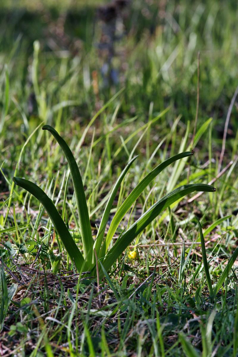 2013_05_15_00014824_Bildgr��e �ndern