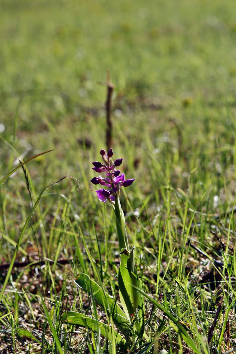 2013_05_15_00014827_Bildgr��e �ndern