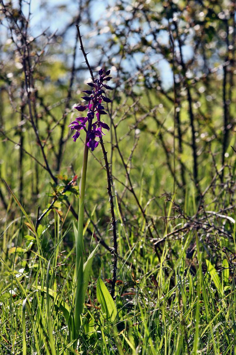 2013_05_15_00014834_Bildgr��e �ndern