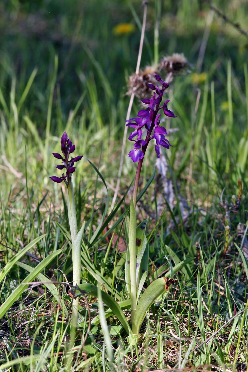 2013_05_15_00014848_Bildgr��e �ndern