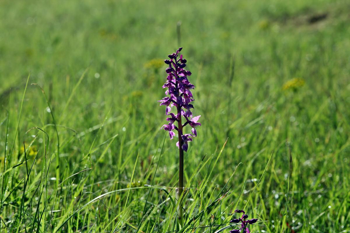 2013_05_15_00014853_Bildgr��e �ndern