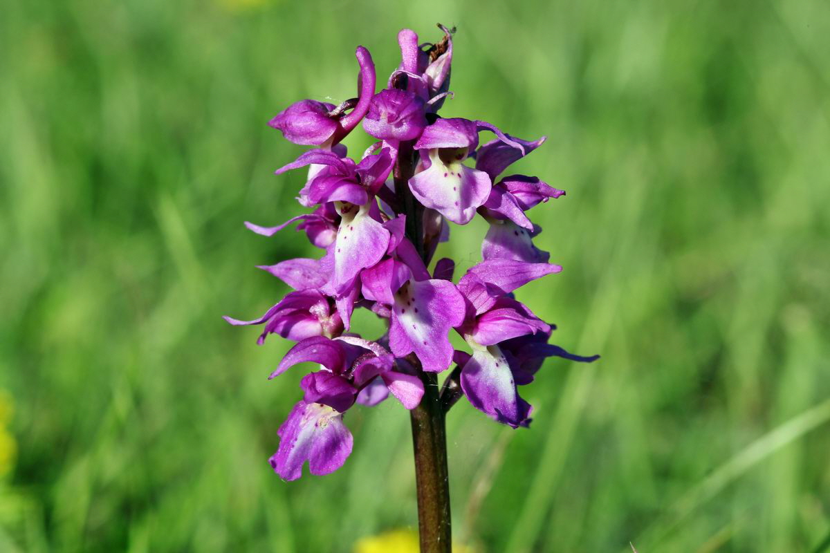 2013_05_15_00014856_Bildgr��e �ndern