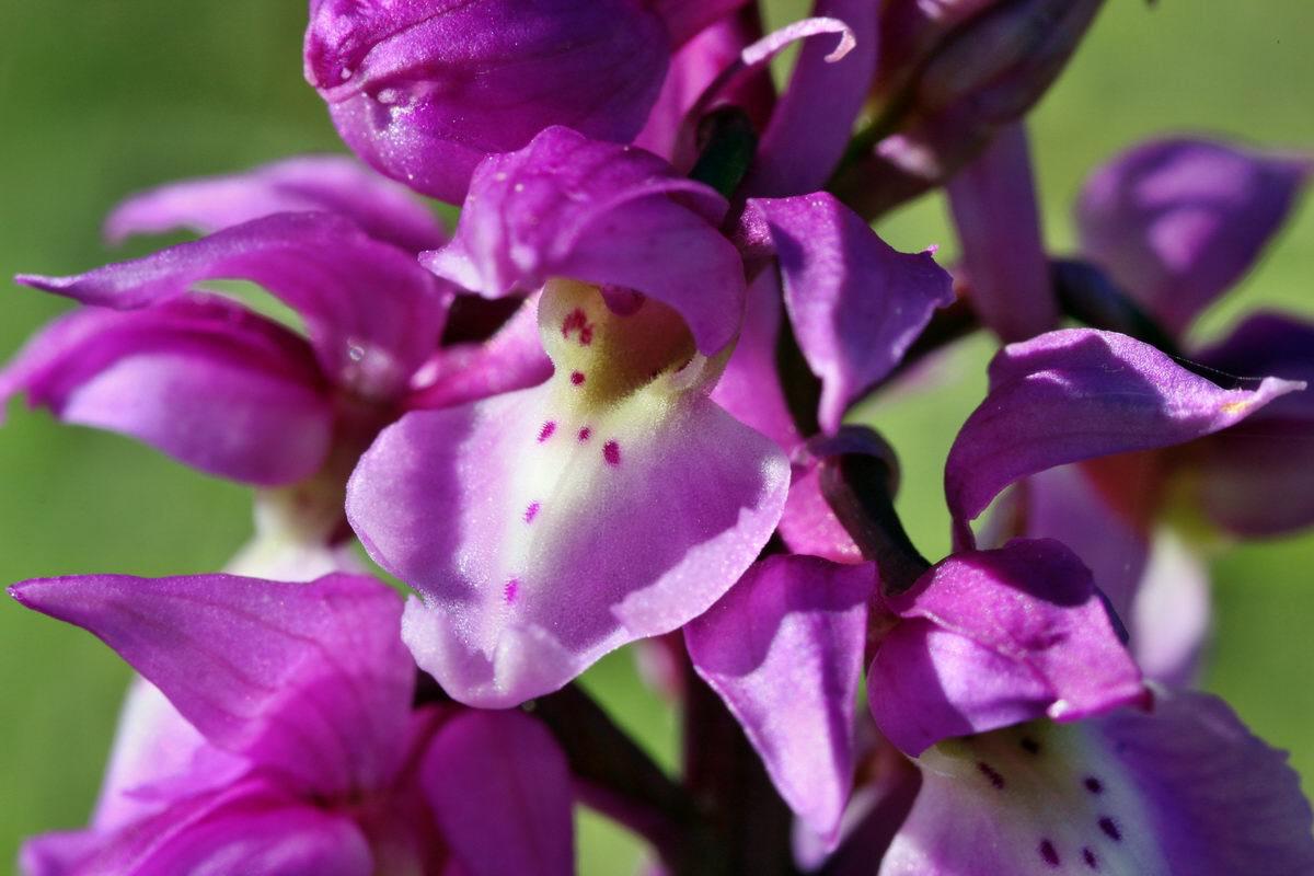 2013_05_15_00014861_Bildgr��e �ndern