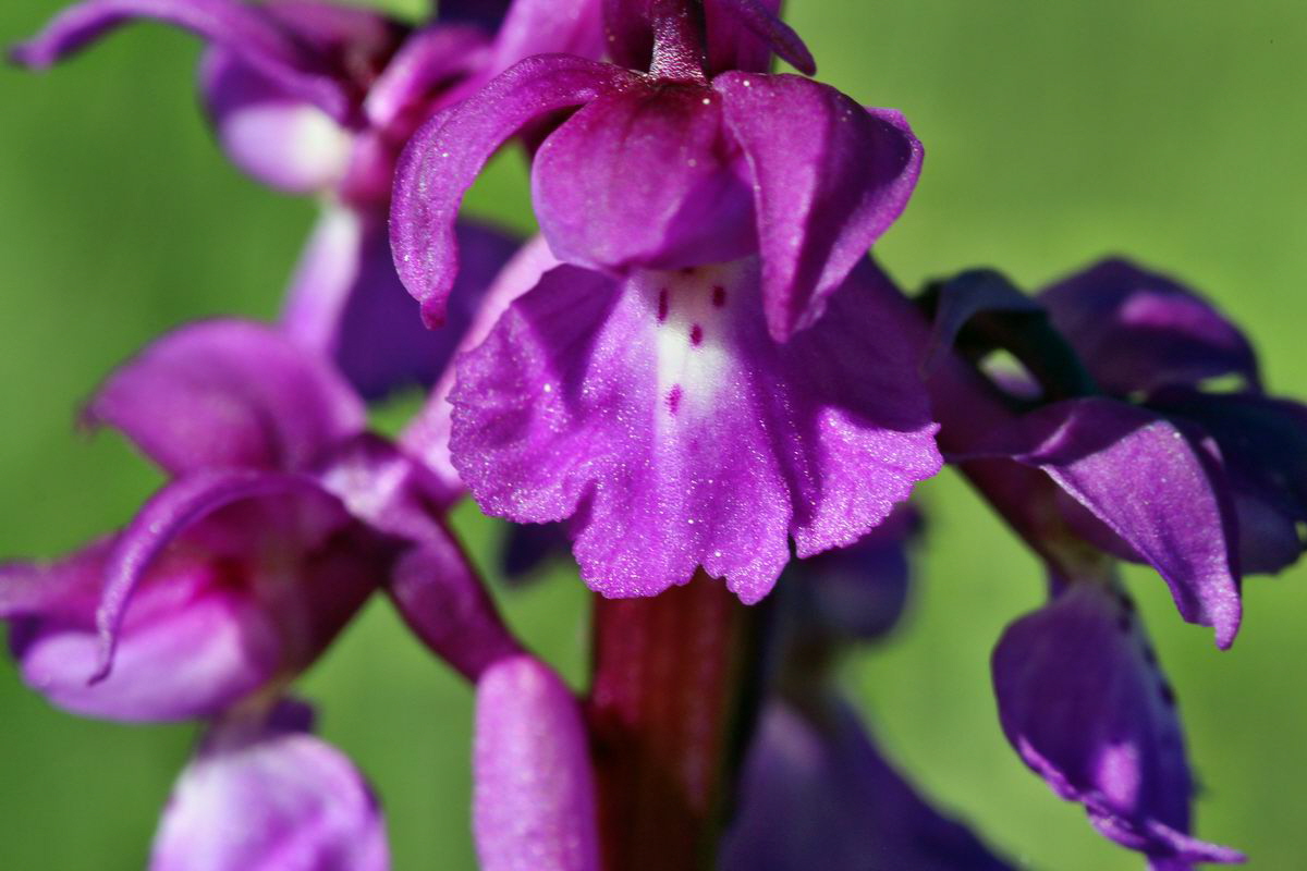 2013_05_15_00014871_Bildgr��e �ndern