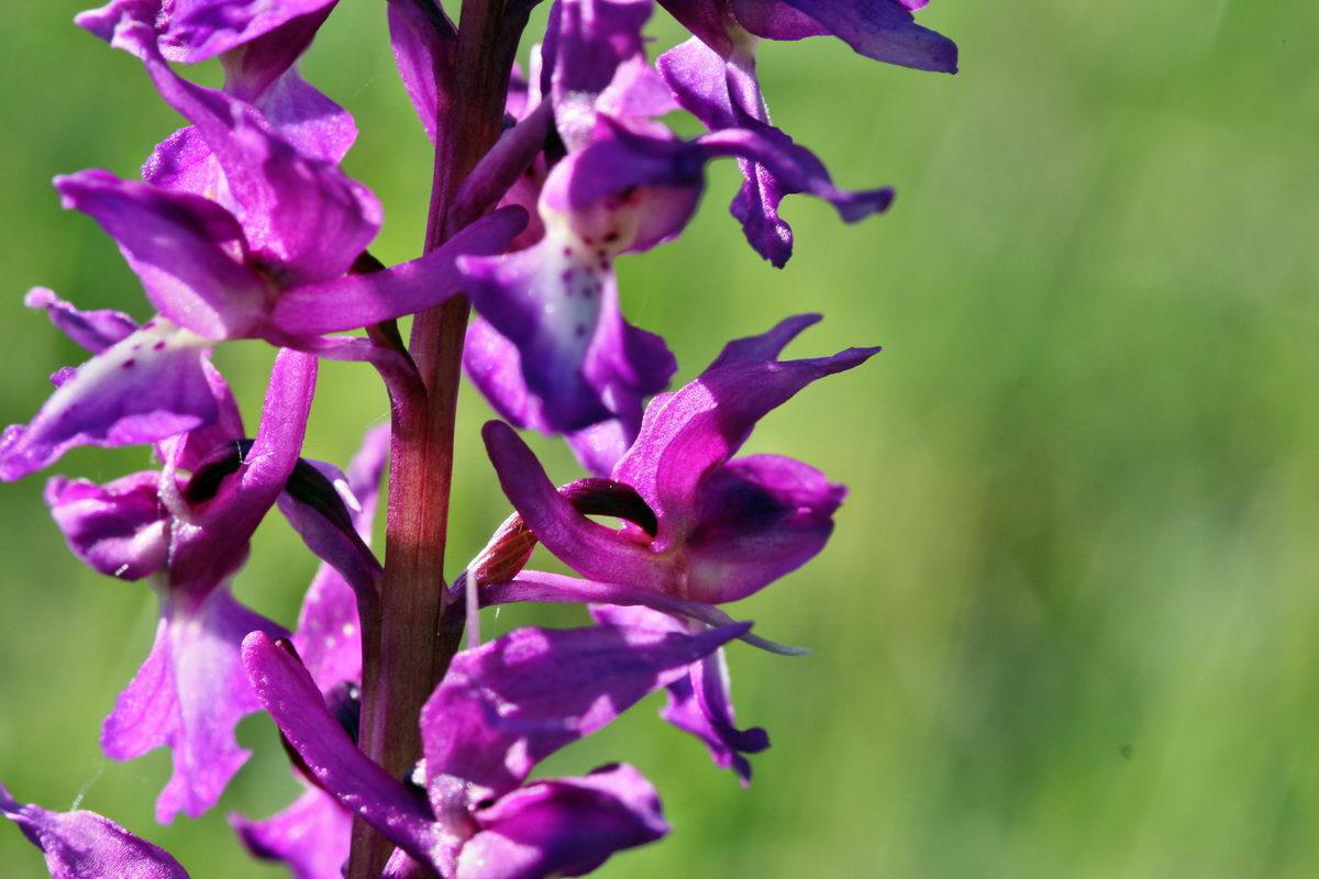 2013_05_15_00014872_Bildgr��e �ndern