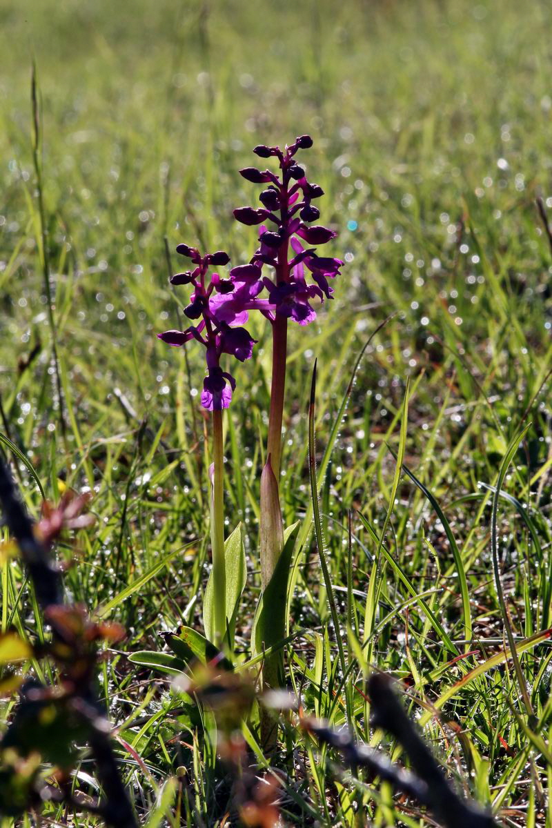 2013_05_15_00014882_Bildgr��e �ndern