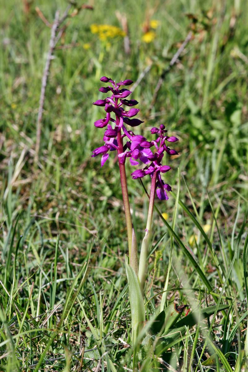 2013_05_15_00014886_Bildgr��e �ndern