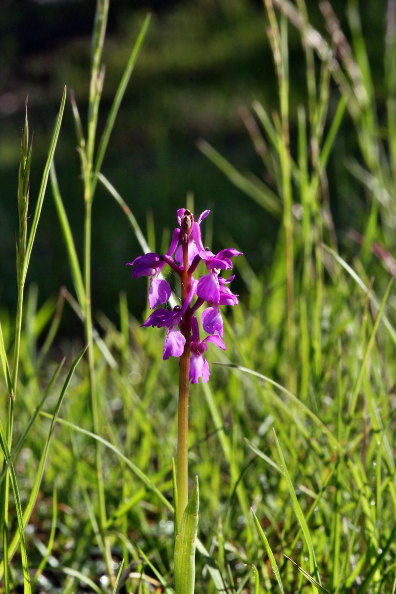 2013_05_15_00014889_Bildgr��e �ndern