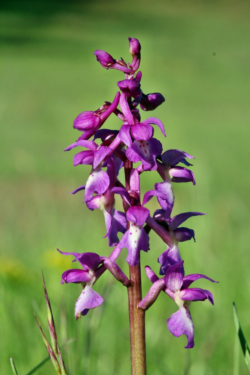 2013_05_15_00014893_Bildgr��e �ndern