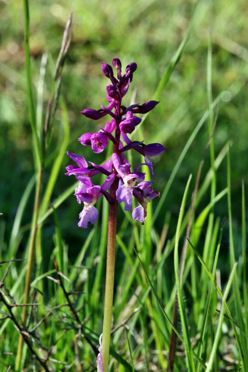 2013_05_15_00014901_Bildgr��e �ndern