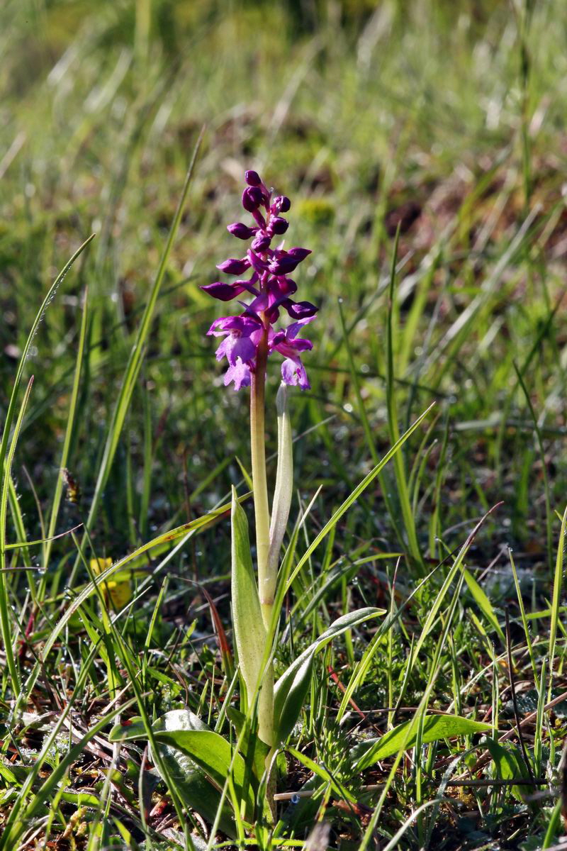 2013_05_15_00014902_Bildgr��e �ndern