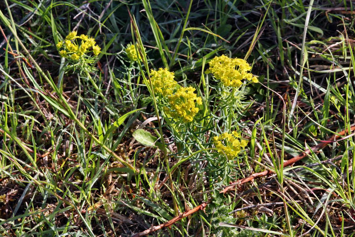 2013_05_15_00014921_Bildgr��e �ndern