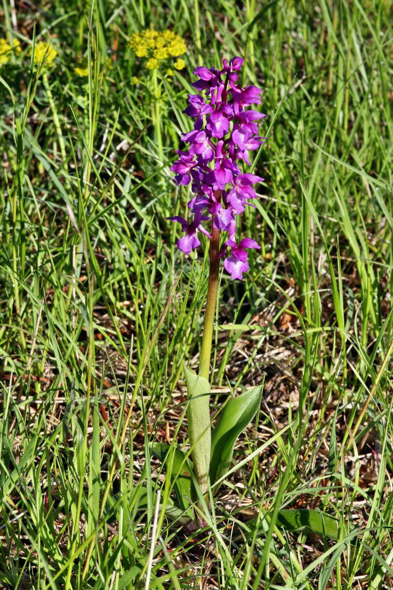 2013_05_15_00014924_Bildgr��e �ndern