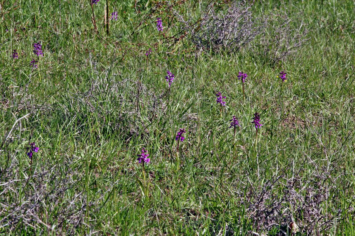 2013_05_15_00014939_Bildgr��e �ndern