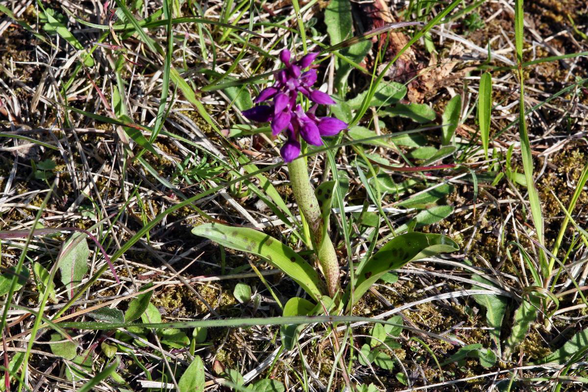 2013_05_15_00014942_Bildgr��e �ndern