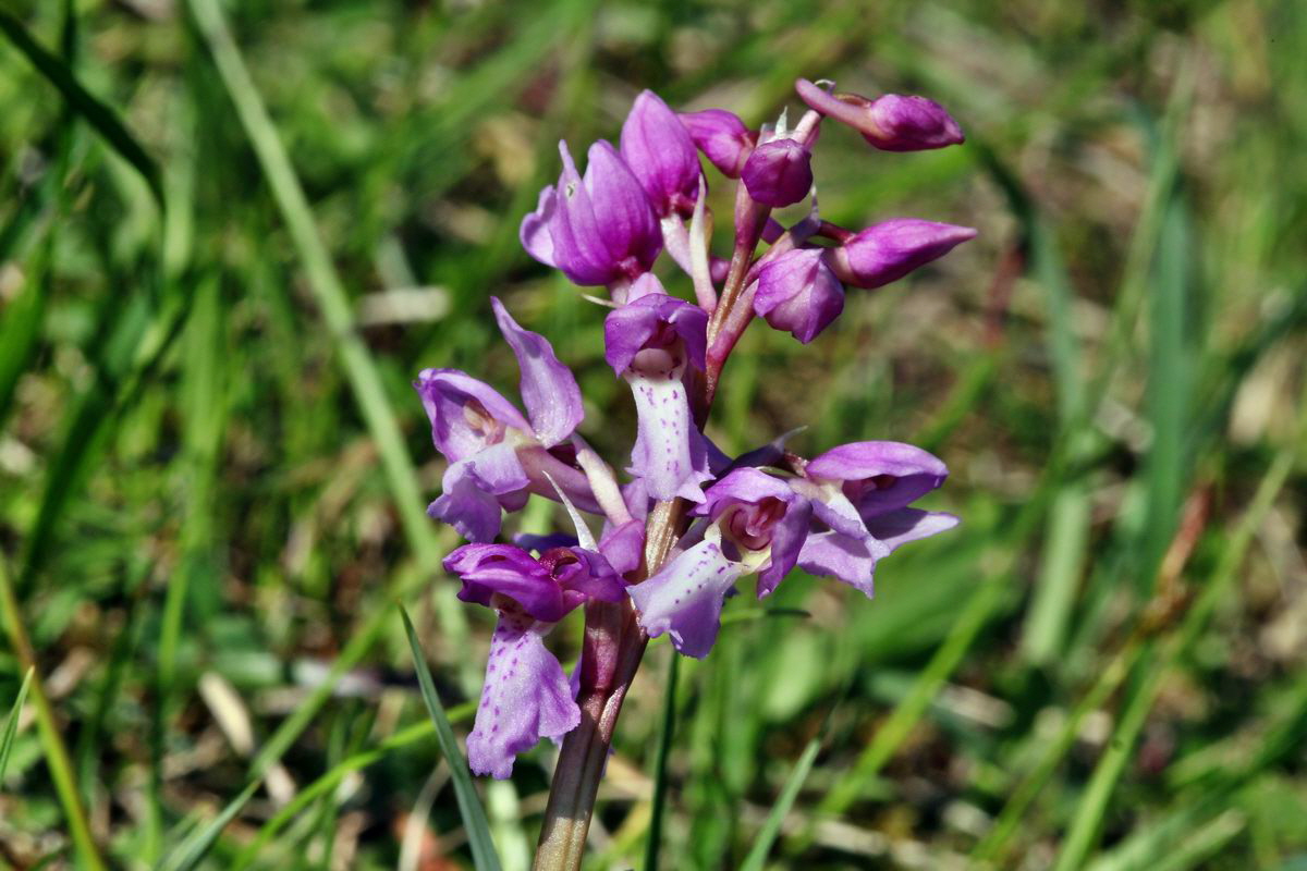 2013_05_15_00014947_Bildgr��e �ndern