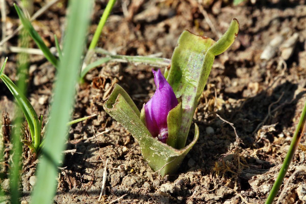 2013_05_15_00014962_Bildgr��e �ndern