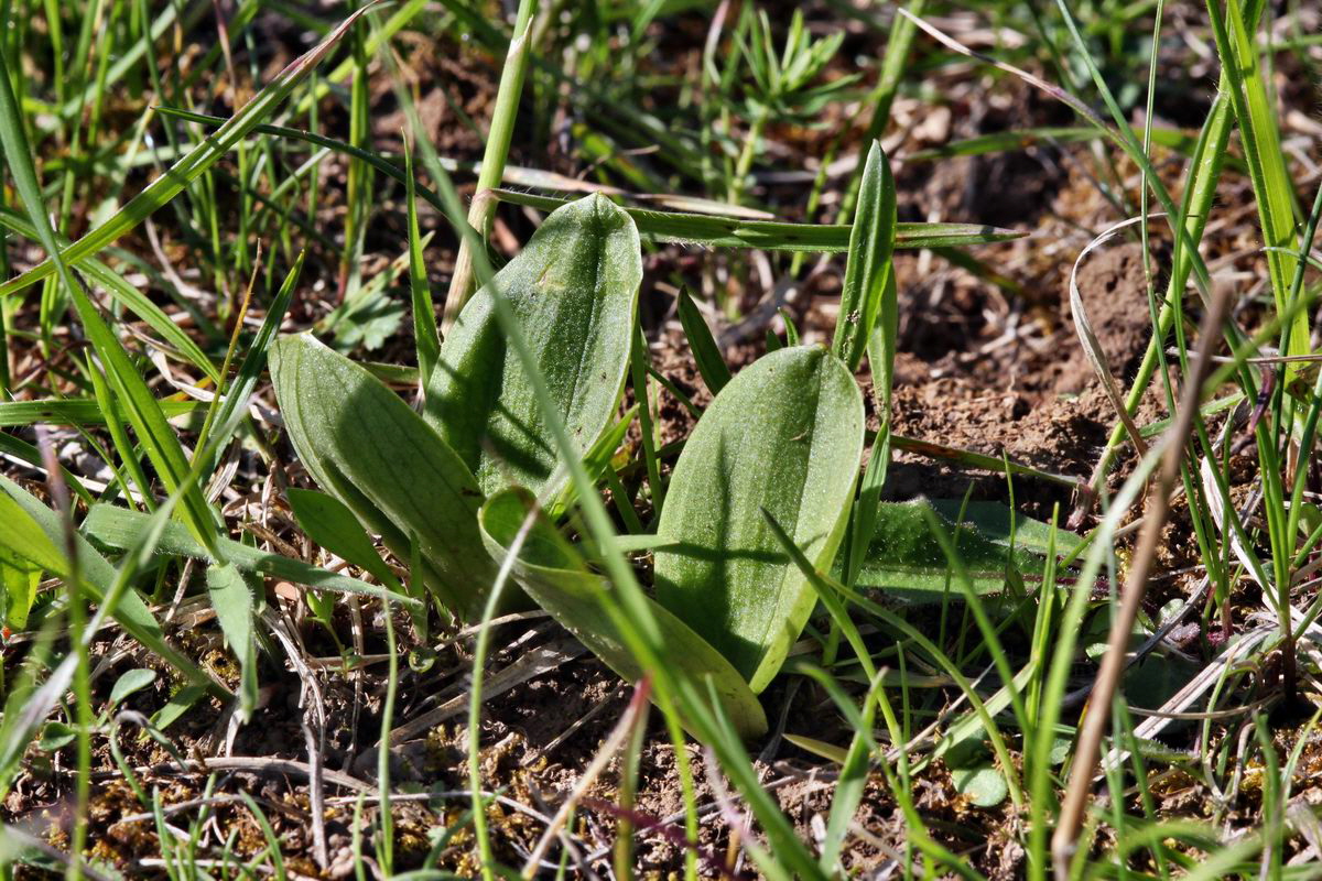 2013_05_15_00014967_Bildgr��e �ndern