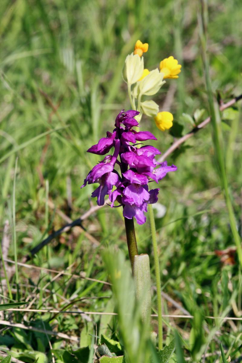 2013_05_15_00014972_Bildgr��e �ndern