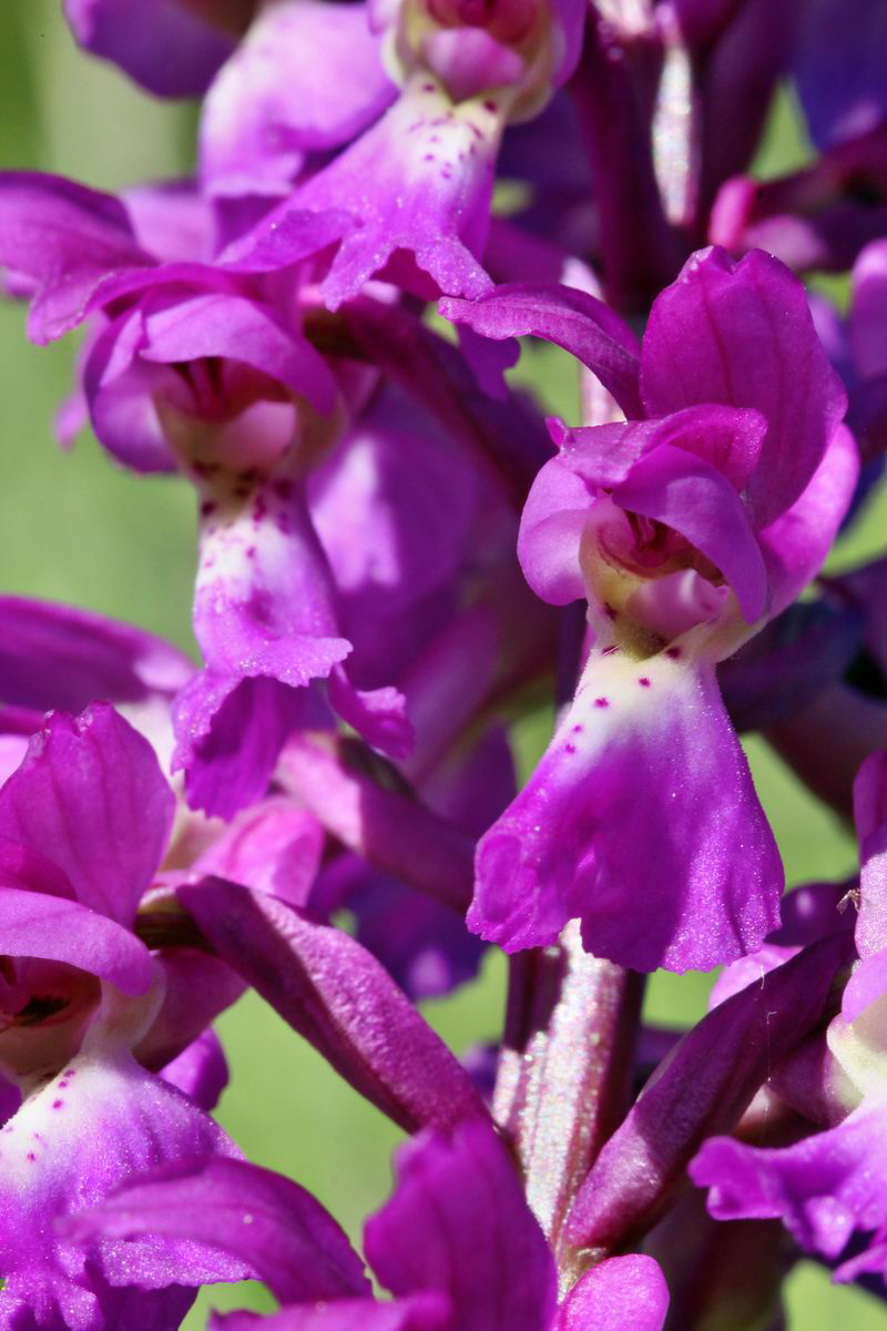 2013_05_15_00014986_Bildgr��e �ndern