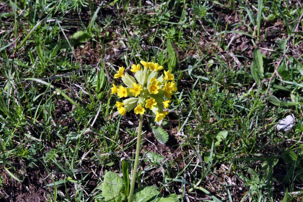 2013_05_15_00015161_Bildgr��e �ndern