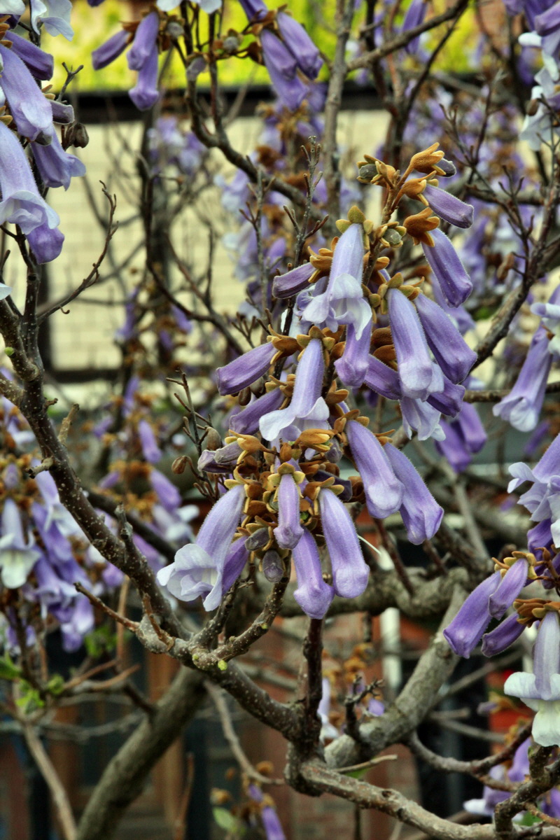 2013_05_16_00015257_Bildgr��e �ndern