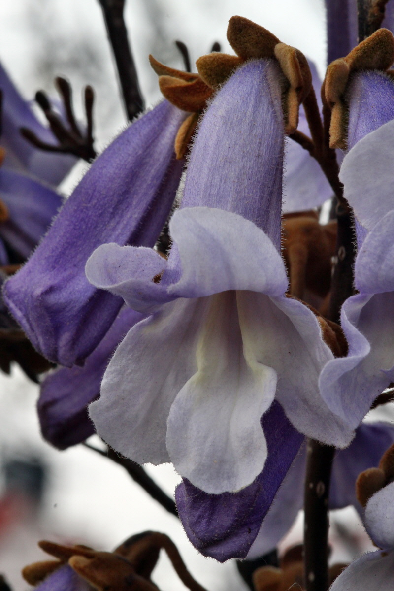 2013_05_16_00015260_Bildgr��e �ndern