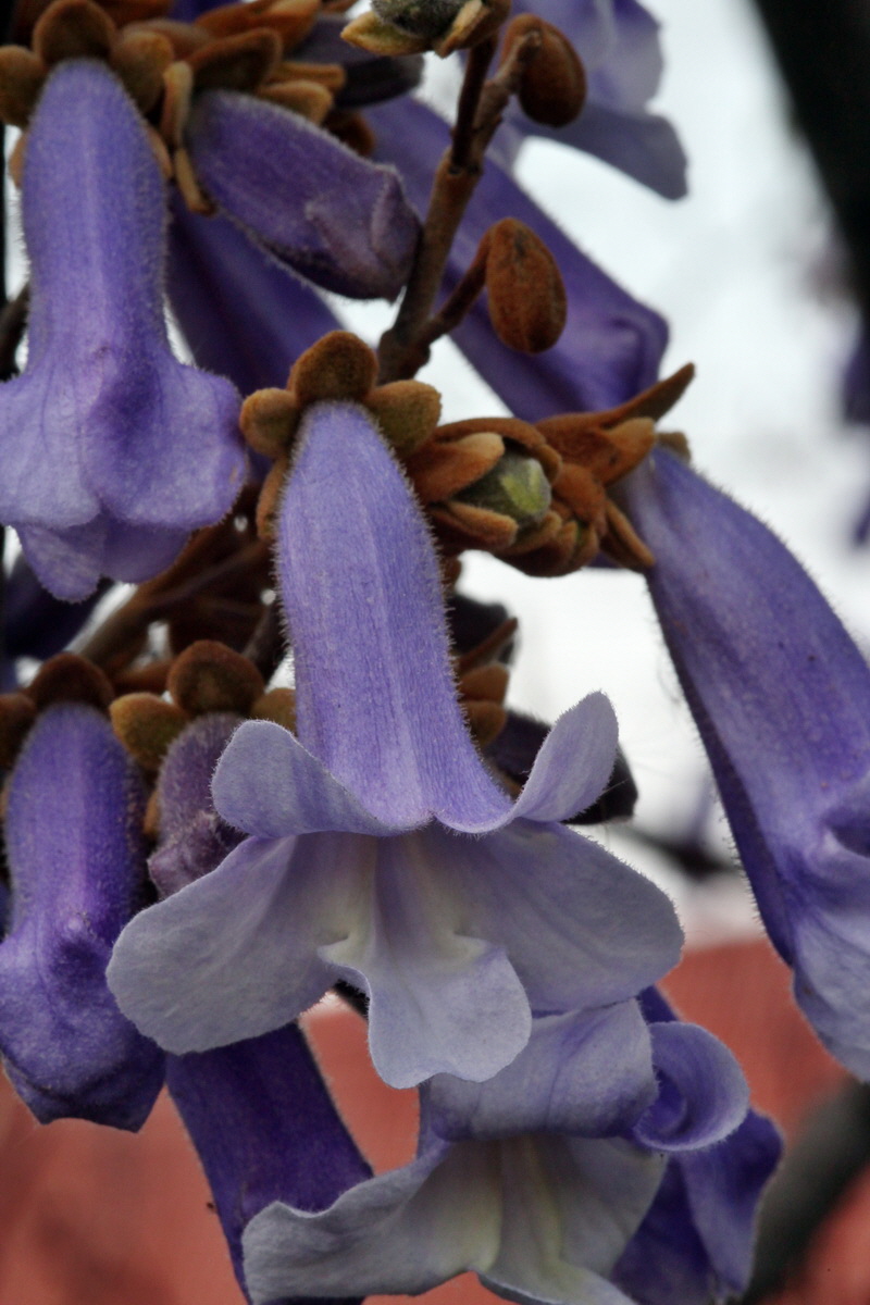 2013_05_16_00015264_Bildgr��e �ndern