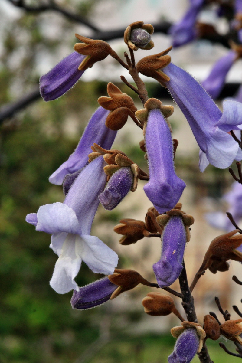 2013_05_16_00015271_Bildgr��e �ndern