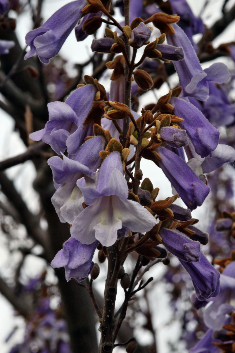 2013_05_16_00015278_Bildgr��e �ndern