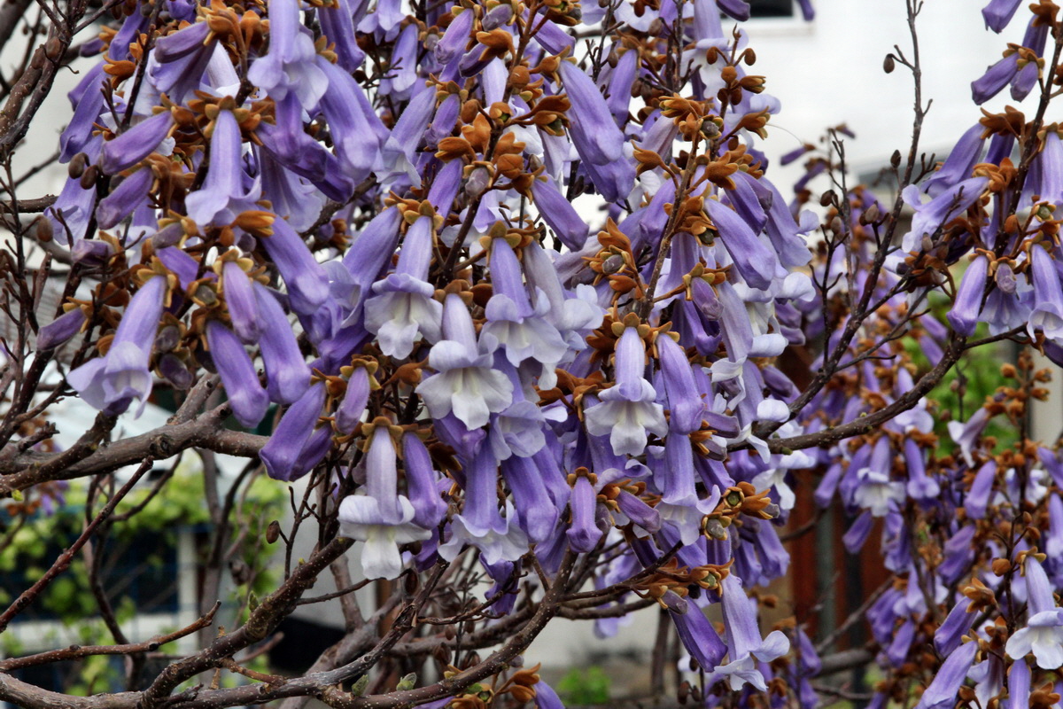 2013_05_16_00015282_Bildgr��e �ndern