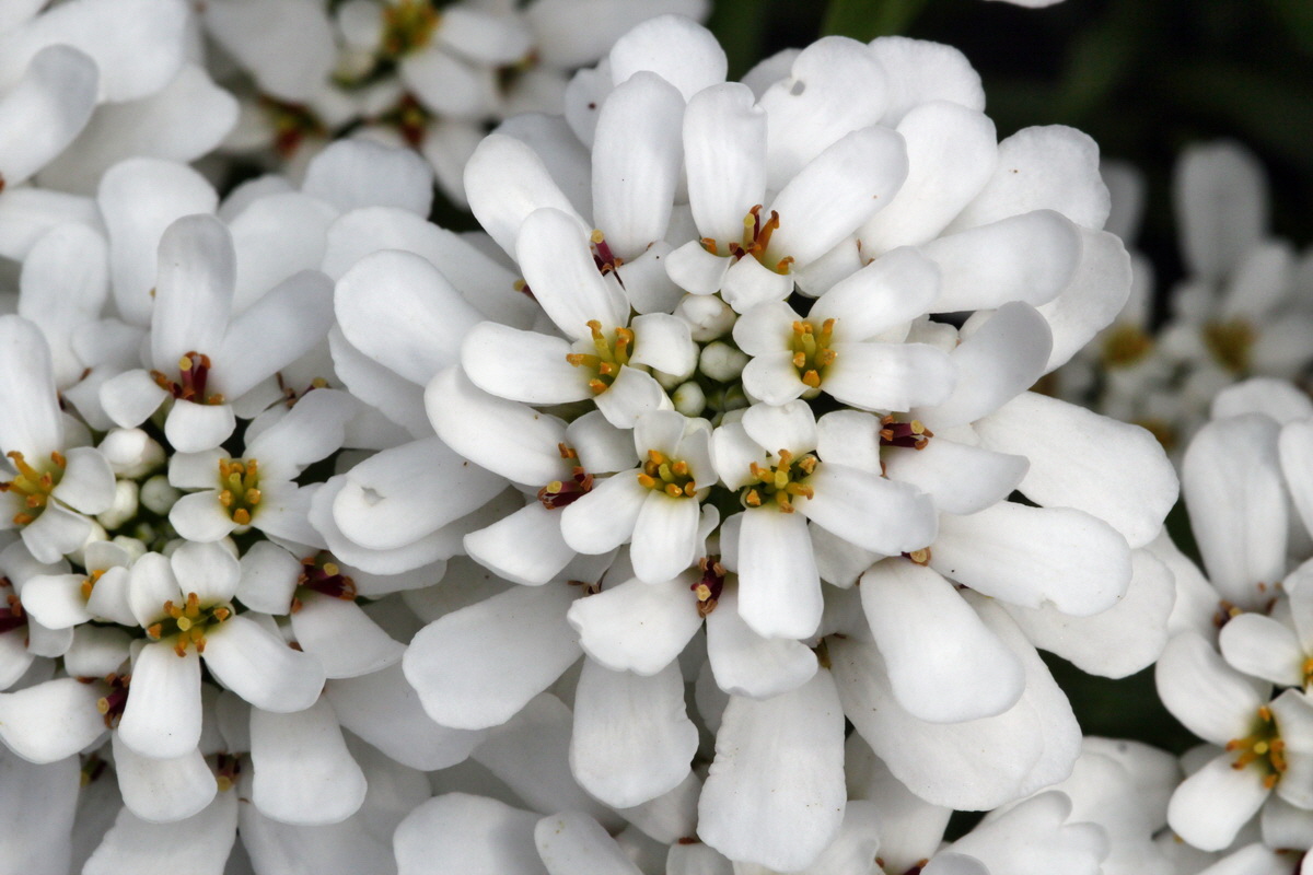 2013_05_16_00015294_Bildgr��e �ndern