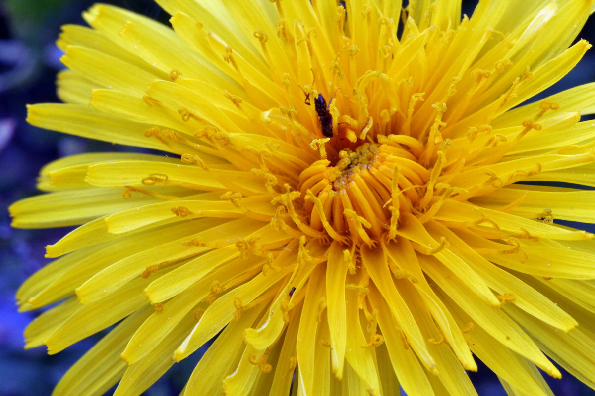 2013_05_17_00015297_Bildgr��e �ndern