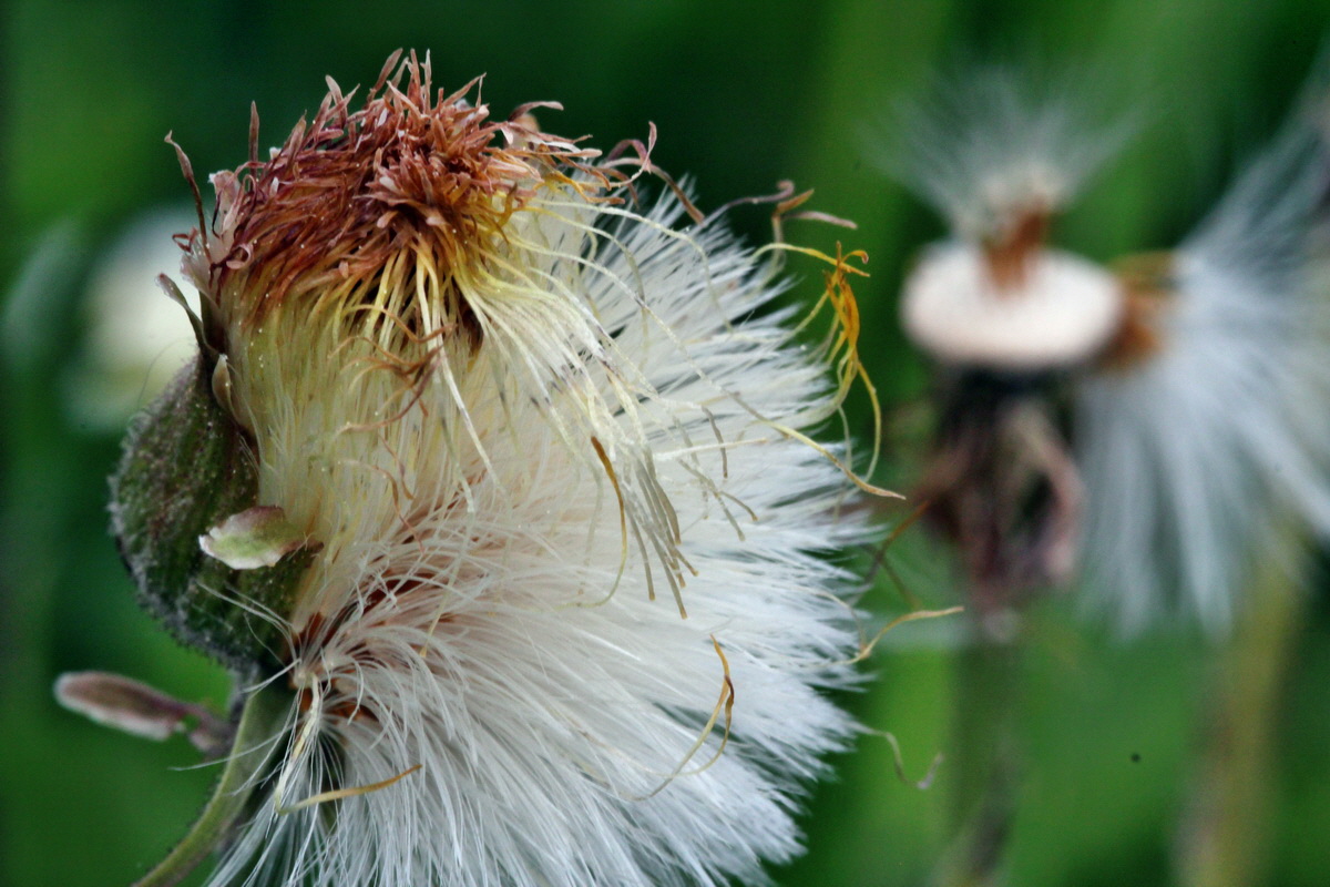 2013_05_17_00015321_Bildgr��e �ndern