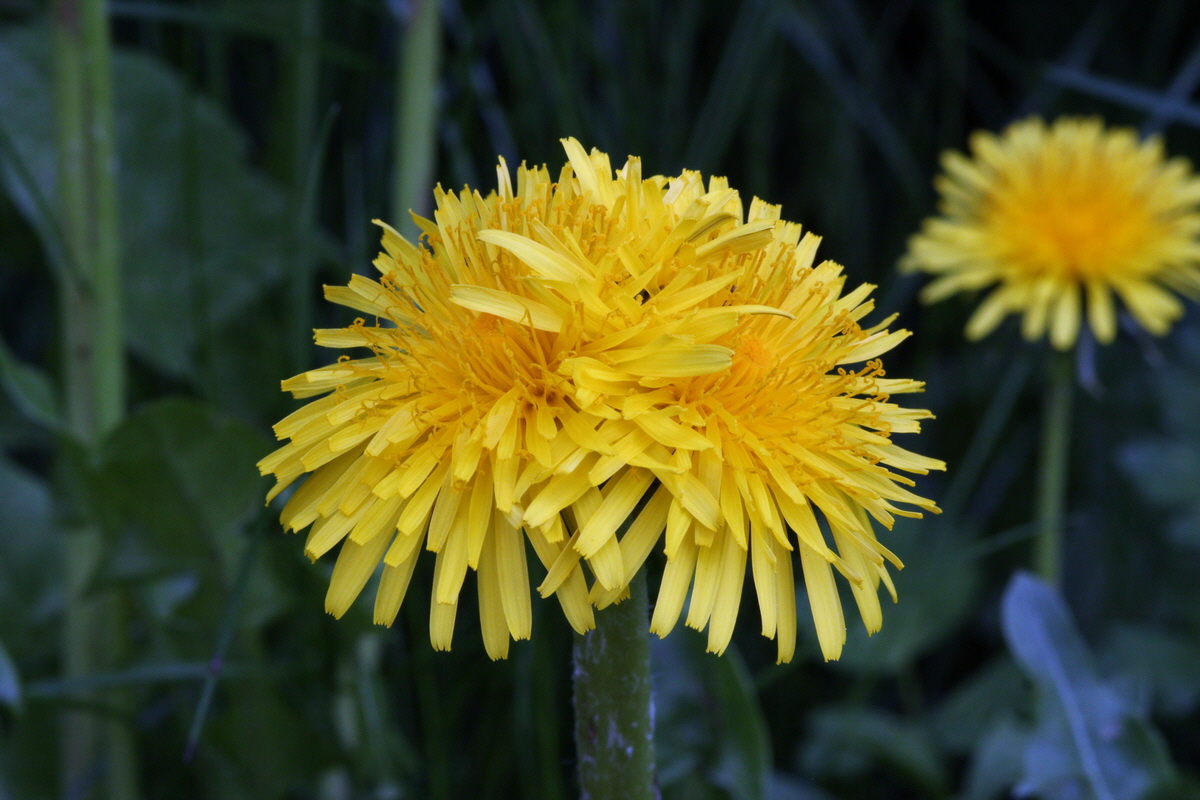 2013_05_17_00015323_Bildgr��e �ndern