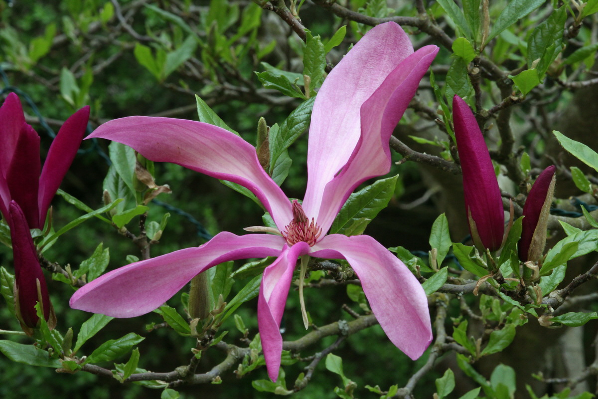 2013_05_17_00015367_Bildgr��e �ndern