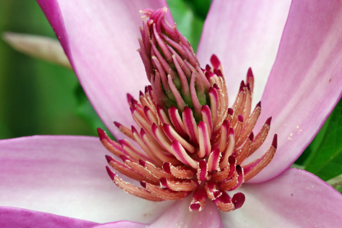 2013_05_17_00015372_Bildgr��e �ndern