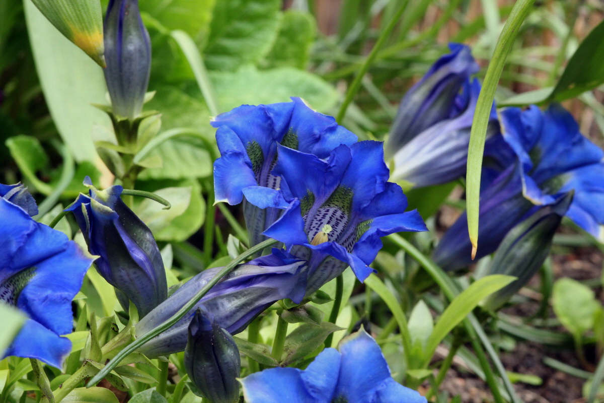 2013_05_17_00015384_Bildgr��e �ndern