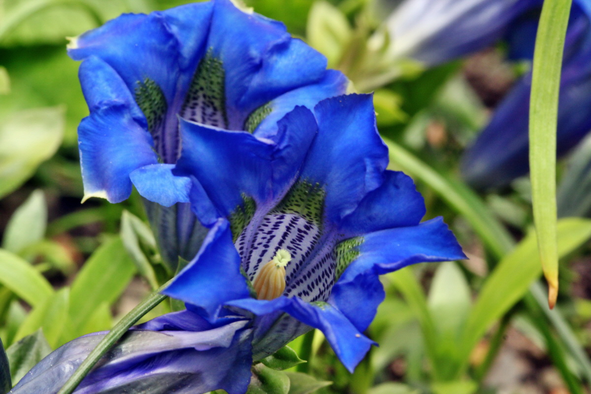 2013_05_17_00015389_Bildgr��e �ndern