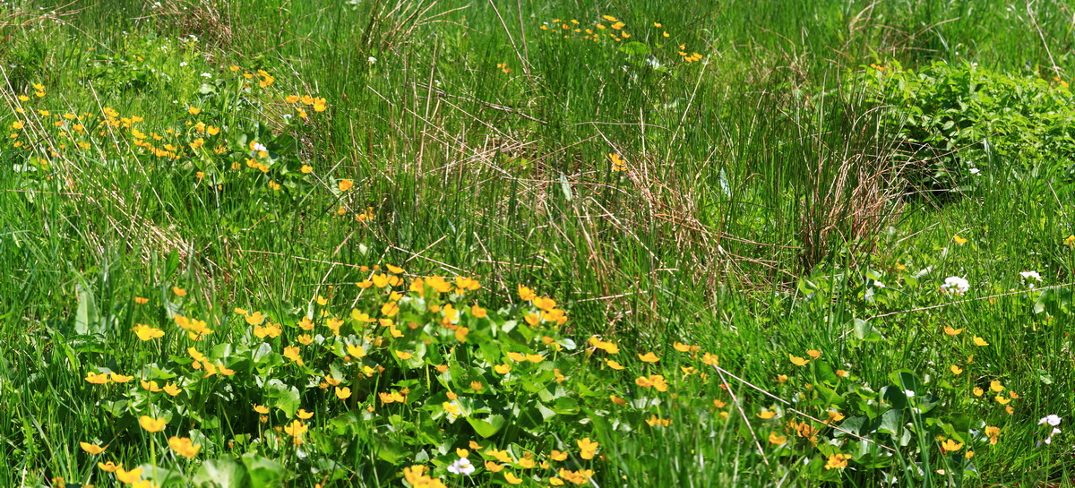 [Group 11]-2013_05_19_00015623_2013_05_19_00015659-12 images_Bildgr��e �ndern