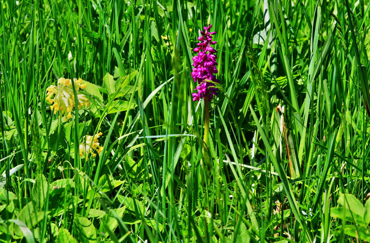 [Group 12]-2013_05_19_00015682_2013_05_19_00015691-3 images_Bildgr��e �ndern