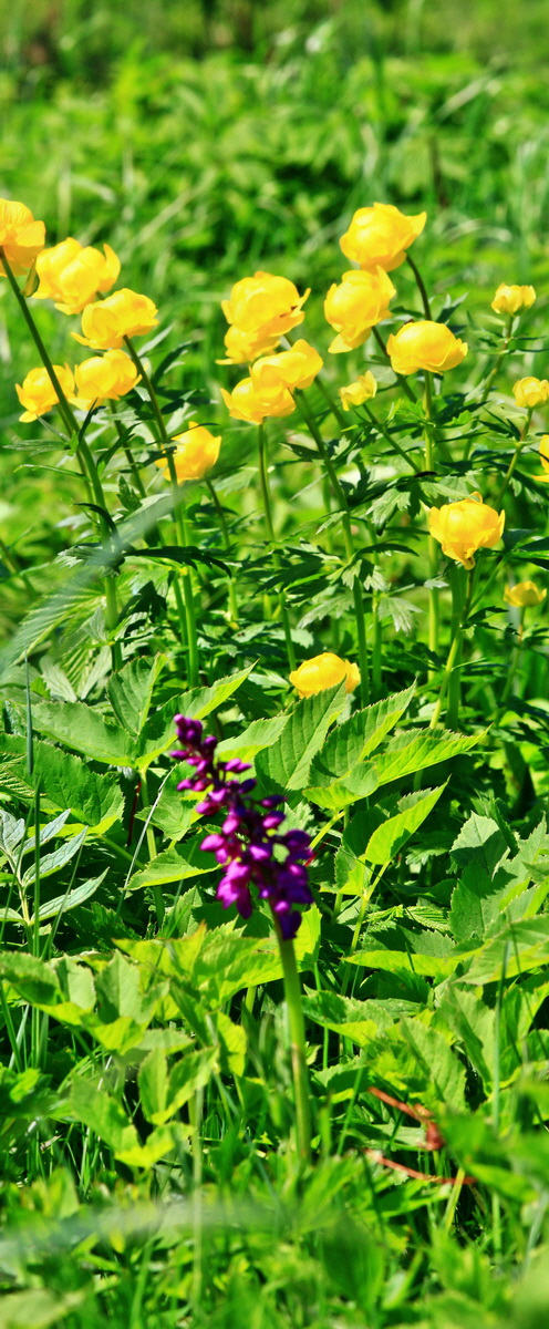 [Group 12]-2013_05_19_00015741_2013_05_19_00015746-2 images_Bildgr��e �ndern