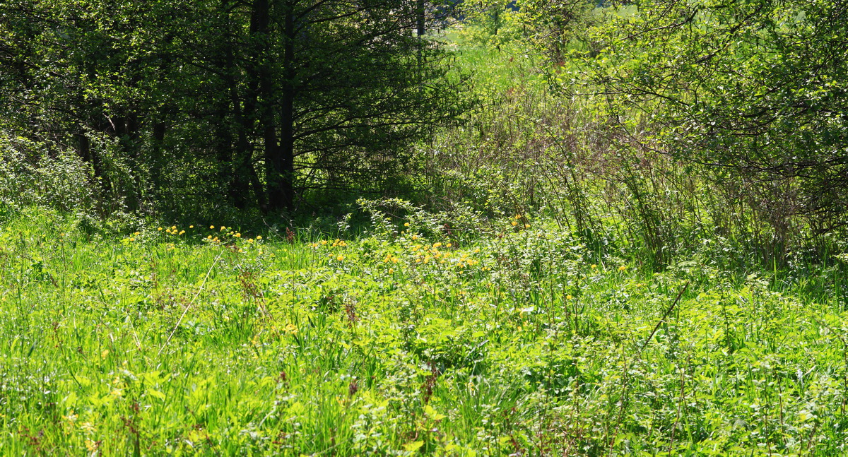 [Group 12]-2013_05_19_00015758_2013_05_19_00015767-3 images_Bildgr��e �ndern