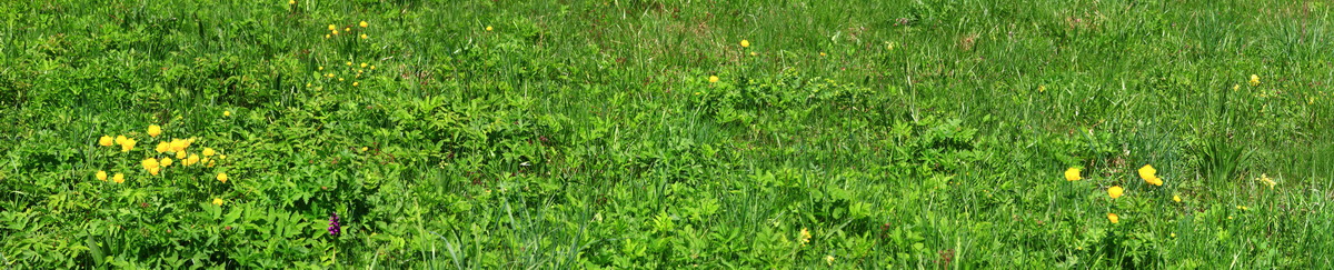 [Group 12]-2013_05_19_00015768_2013_05_19_00015787-9 images_Bildgr��e �ndern