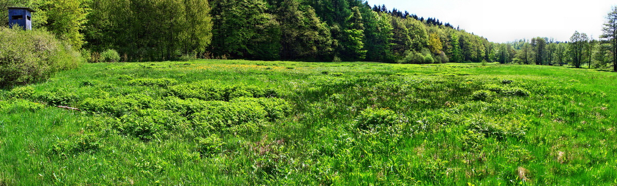 [Group 13]-2013_05_19_00015907_2013_05_19_00015925-2 images_Bildgr��e �ndern