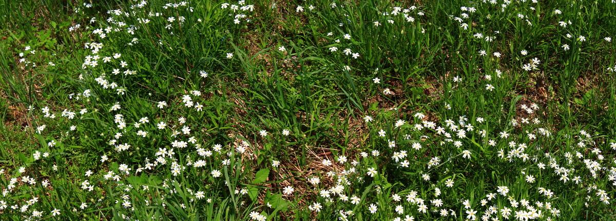 [Group 14]-2013_05_19_00015985_2013_05_19_00016000-16 images_Bildgr��e �ndern