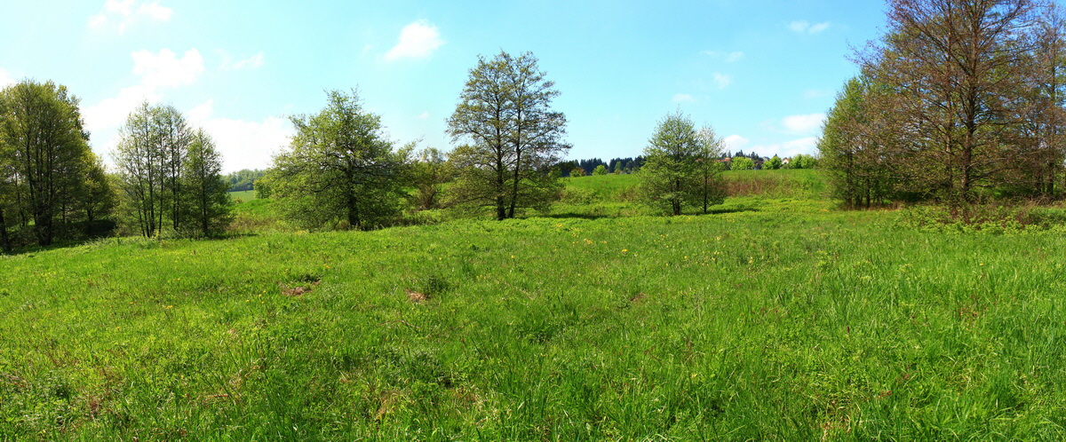 [Group 15]-2013_05_19_00015930_2013_05_19_00015951-22 images_Bildgr��e �ndern